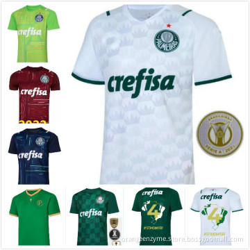 21 22 Palmeiras Special Edition soccer jerseys classy commemorate